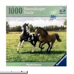 Ravensburger Playful Horses 1000 Piece Puzzle  B078JWB9PL